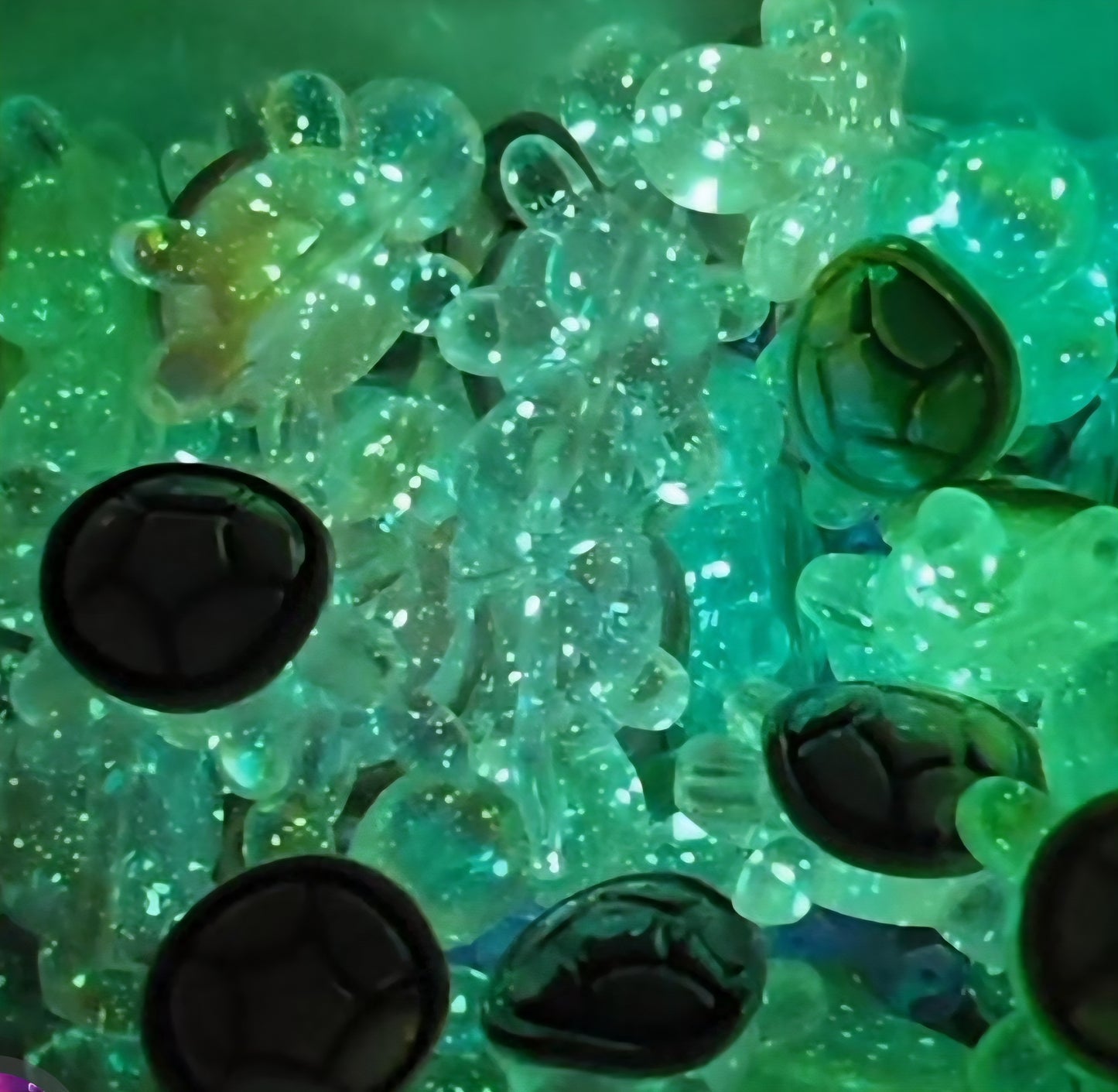 Mini Lumi Turtles